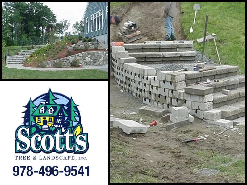 Top-rated yard cleanup service in Westford, MA - Scott's Tree & Landscape