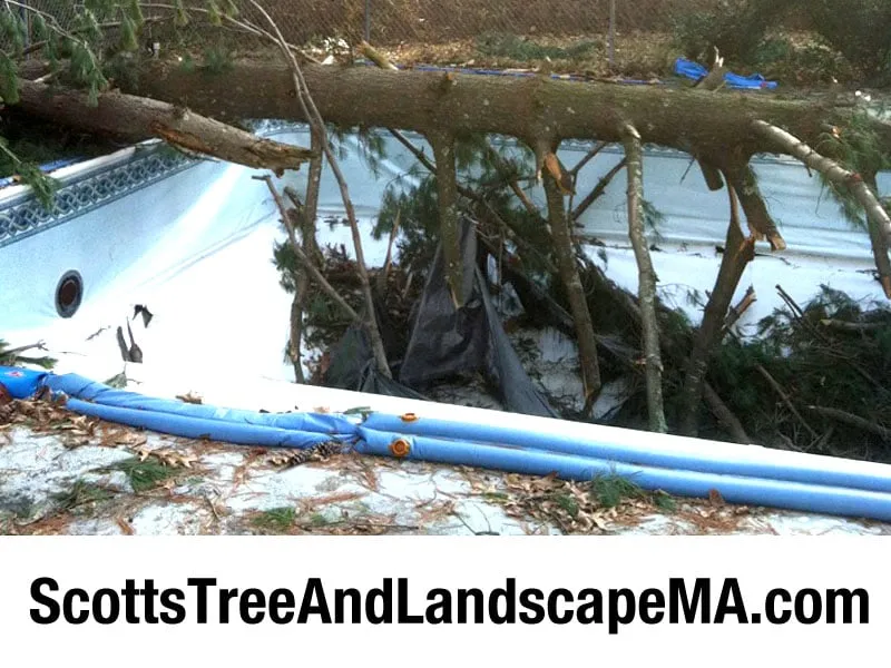 Professional landscape installation in Westford, MA by Scott's Tree & Landscape