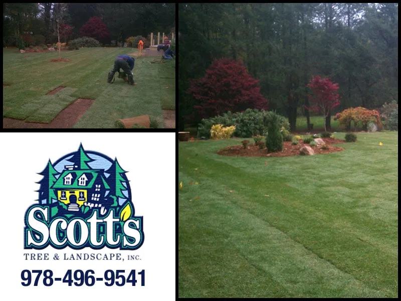 Trusted outdoor landscaping experts serving Westford, MA - Scott's Tree & Landscape