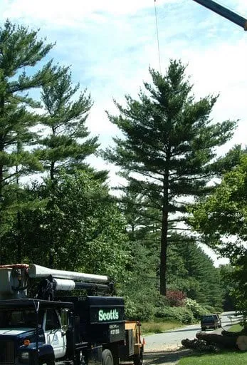 Reliable garden landscaping in Westford, MA - Scott's Tree & Landscape