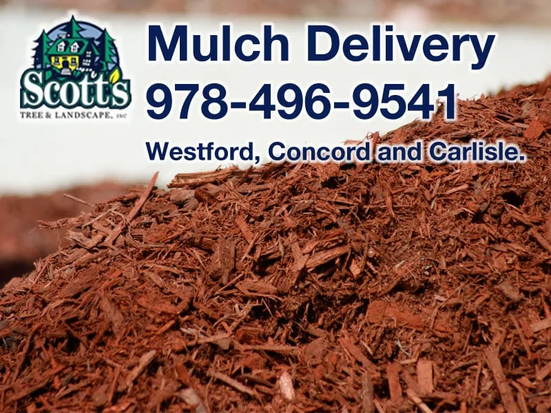 Local landscape installation experts serving Westford, MA - Scott's Tree & Landscape
