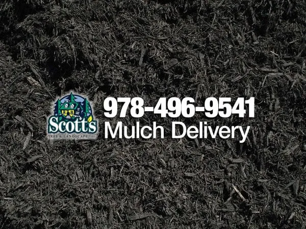 Reliable outdoor landscaping for beautiful yards across Westford, MA - Scott's Tree & Landscape