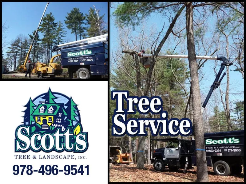 Professional lawn care service with custom design in Westford, MA by Scott's Tree & Landscape