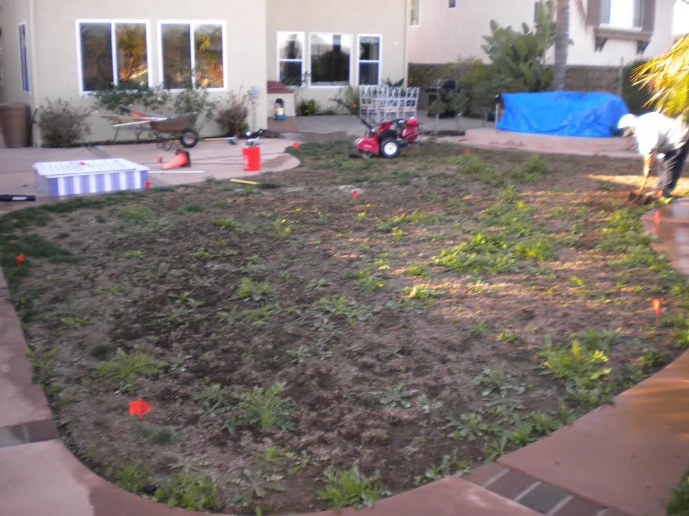 Top-rated lawn mowing service experts serving Escondido, CA - Scott's Tree & Lawn Service