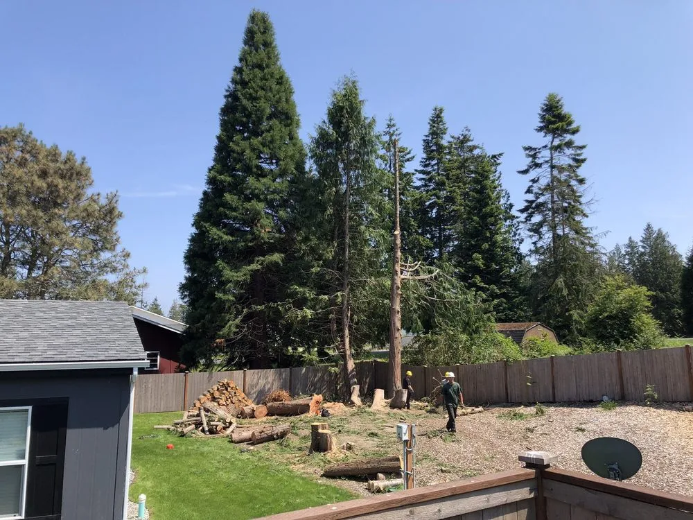 Expert lawn mowing service in Poulsbo, WA - Scott's Tree Service