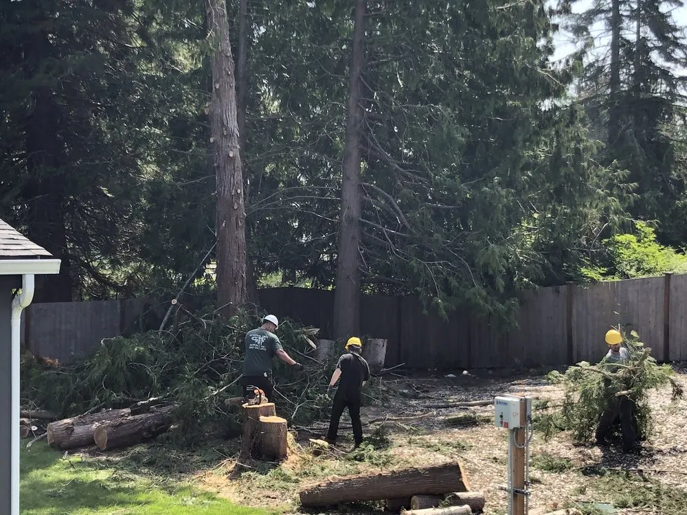 Top-rated outdoor landscaping in Poulsbo, WA by Scott's Tree Service