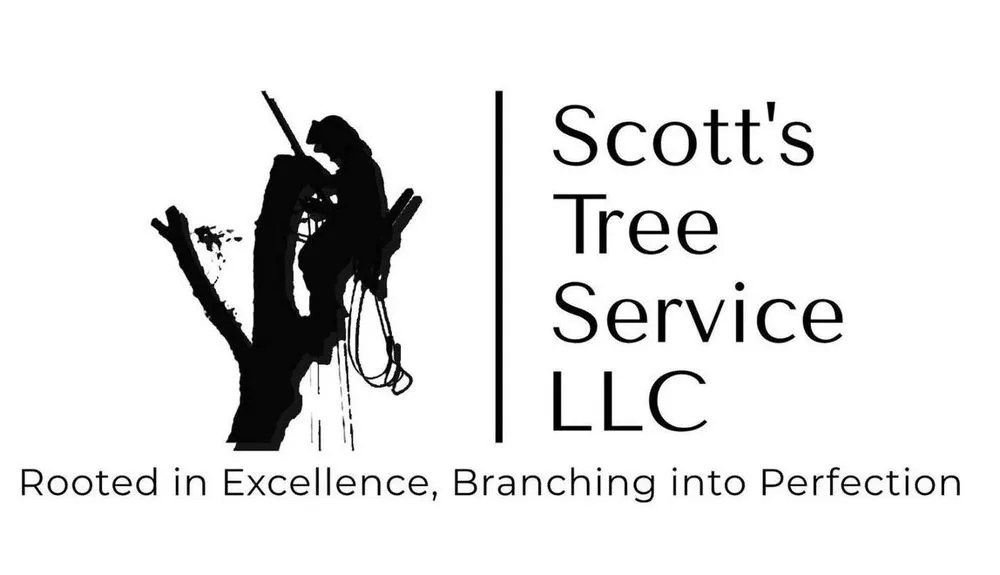 Trusted residential landscaping for beautiful yards across Winchester, VA - Scotts Tree Service