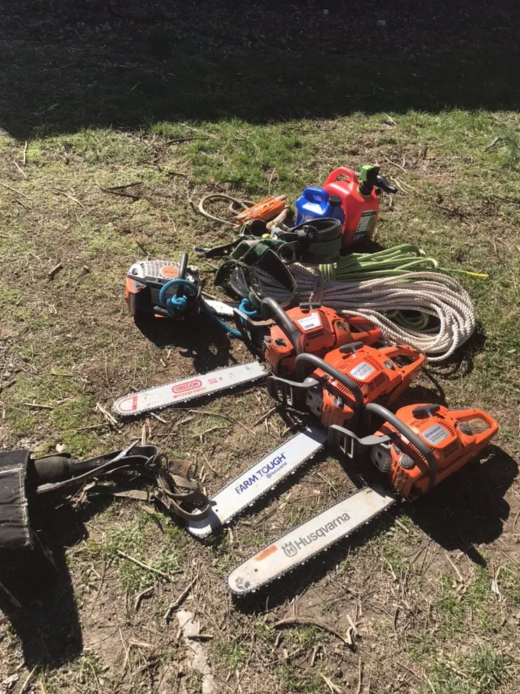 Local outdoor landscaping in Winchester, VA - Scotts Tree Service