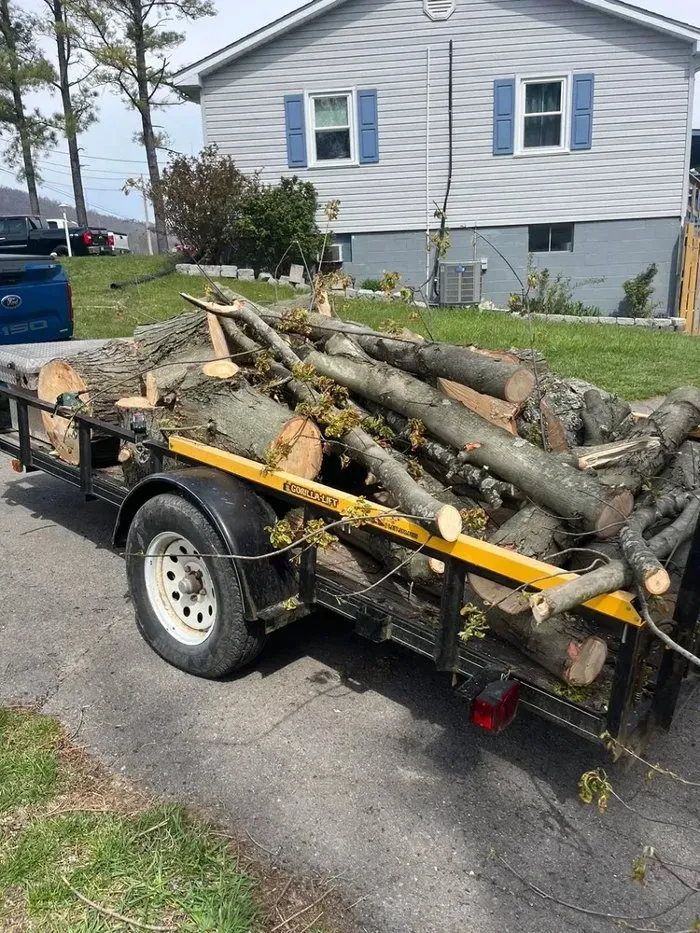 Trusted residential landscaping in Winchester, VA - Scotts Tree Service