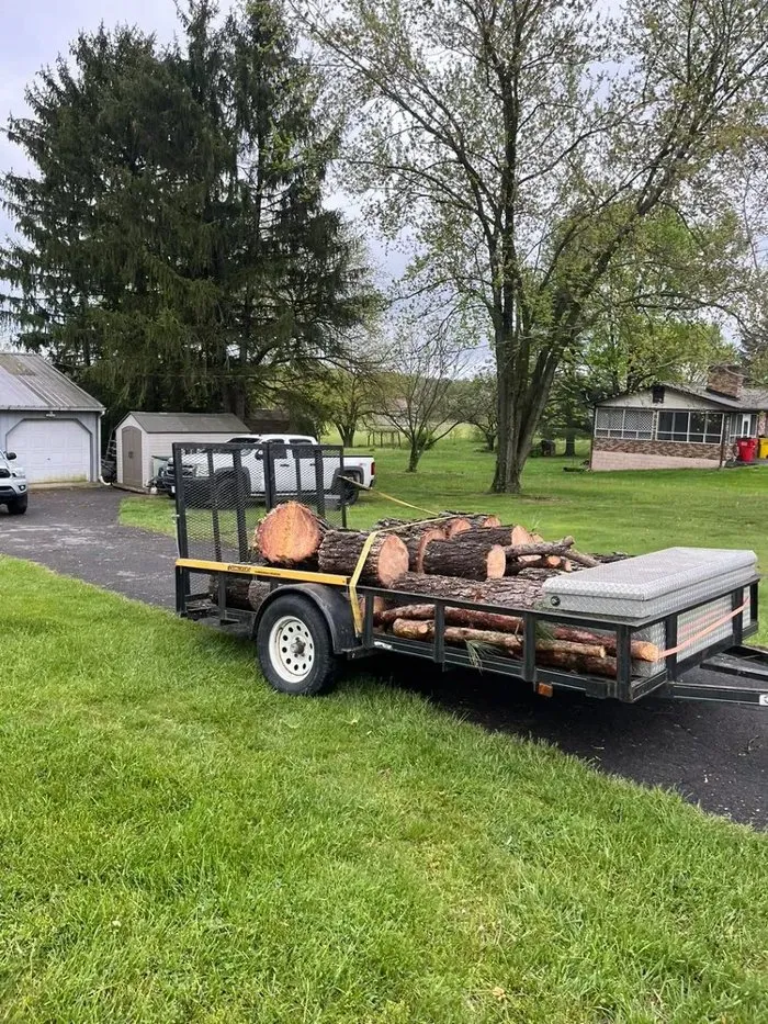Local landscape installation for year-round maintenance in Winchester, VA by Scotts Tree Service