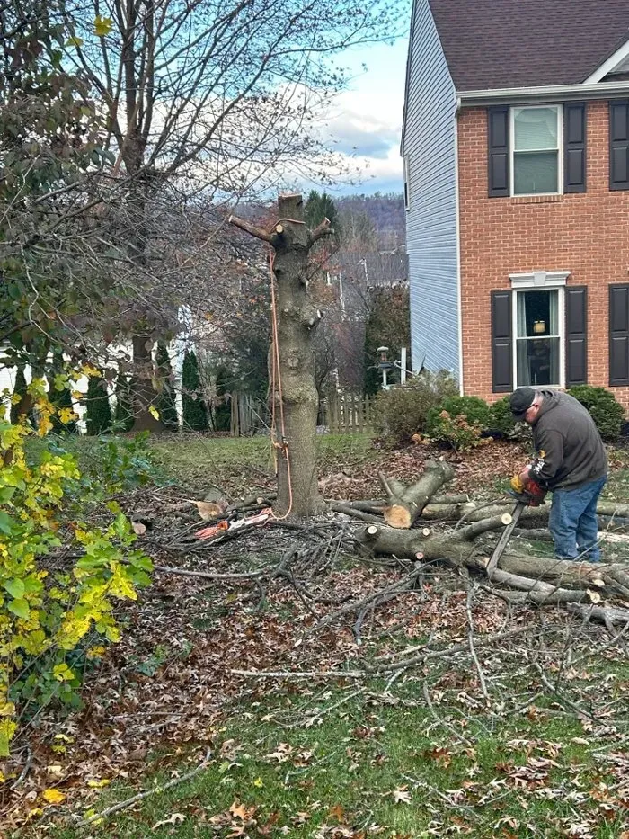 Affordable landscape design in Winchester, VA by Scotts Tree Service