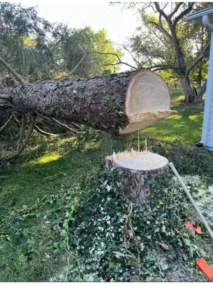 Local lawn mowing service in Winchester, VA by Scotts Tree Service