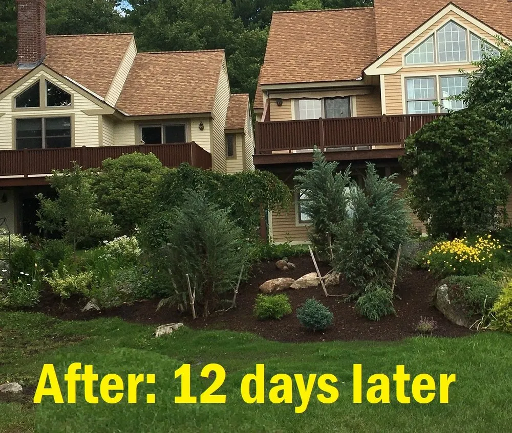 Trusted garden landscaping experts serving Wilmot, NH - Scott's Yard Care
