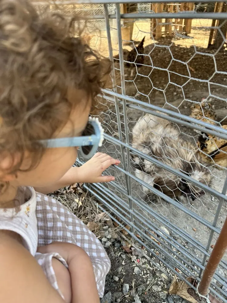 Trusted yard maintenance for homes in Milton, GA by Scottsdale Farms