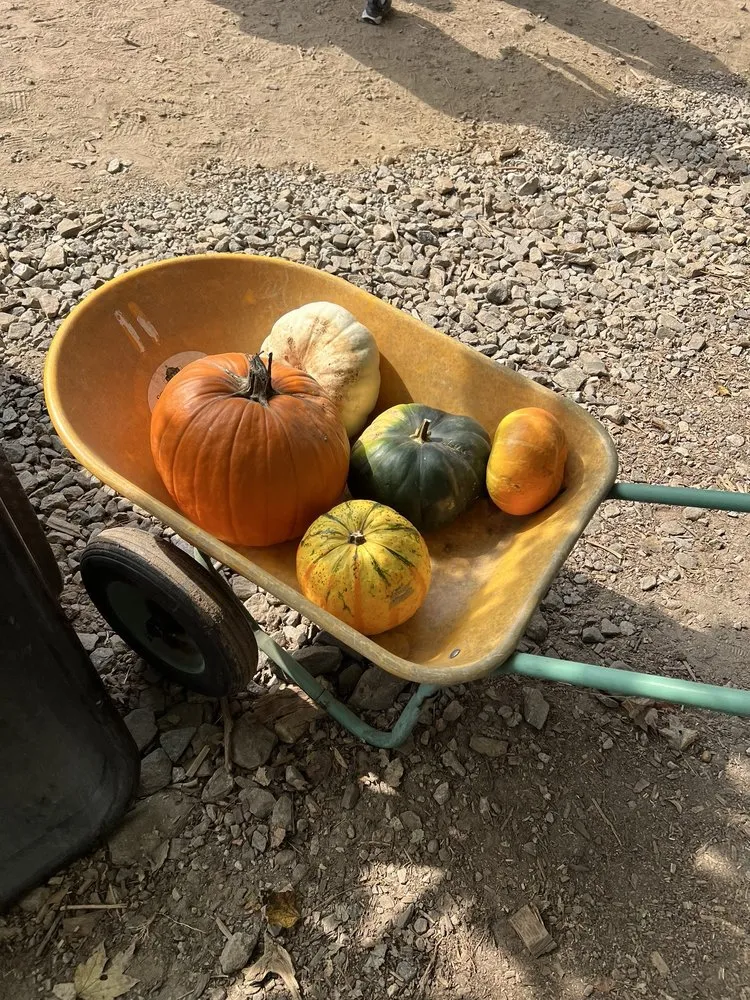 Expert landscaping services in Milton, GA - Scottsdale Farms