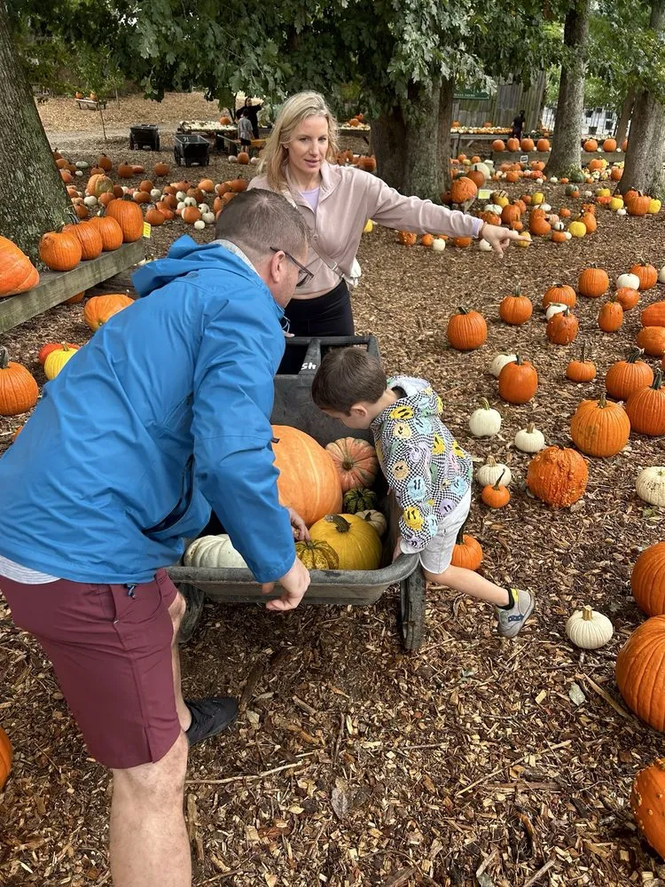 Affordable landscaping services experts serving Milton, GA - Scottsdale Farms