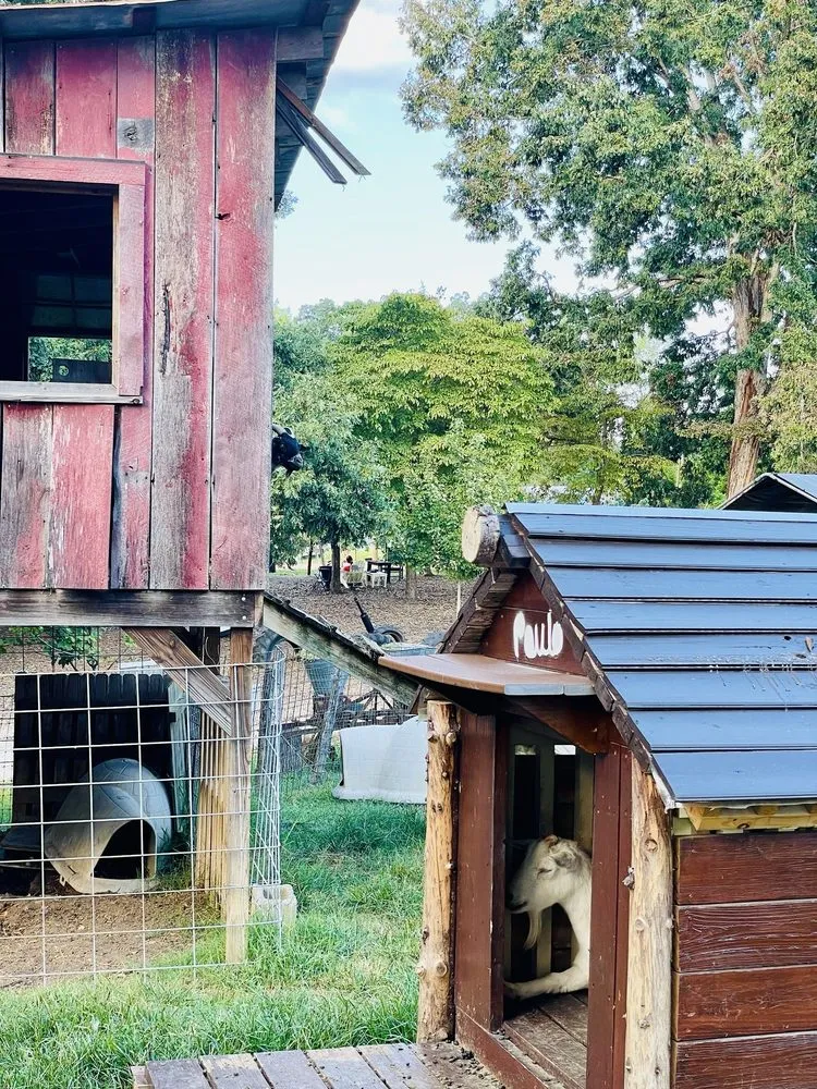 Trusted landscape design for beautiful yards in Milton, GA by Scottsdale Farms