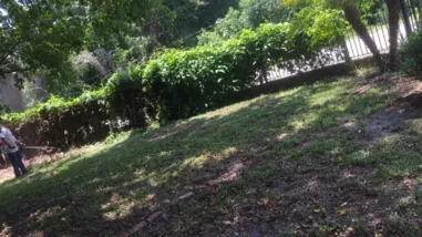 Custom lawn mowing service for homes in Tampa, FL by Scottsdale Outdoors