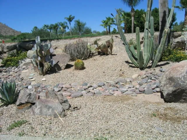 Trusted garden landscaping in Scottsdale, AZ - Scottsdale Weed Control & Fertilization, LLC