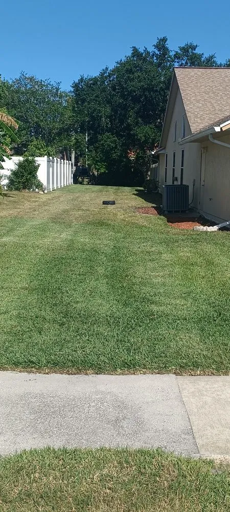 Top-rated landscaping services experts serving Cocoa, FL - Scott'Turf Lawncare