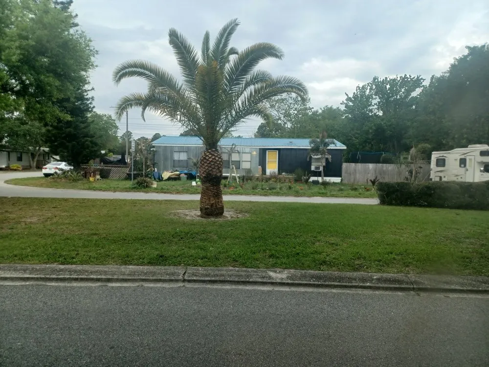 Expert landscape installation in Cocoa, FL by Scott'Turf Lawncare