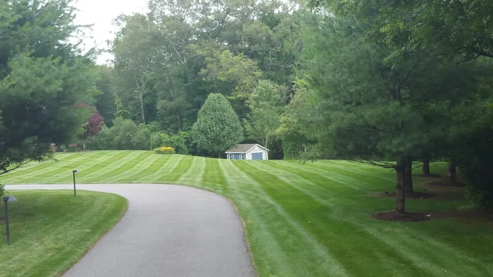 Reliable lawn care service in Manville, RI by Scotty B's Services