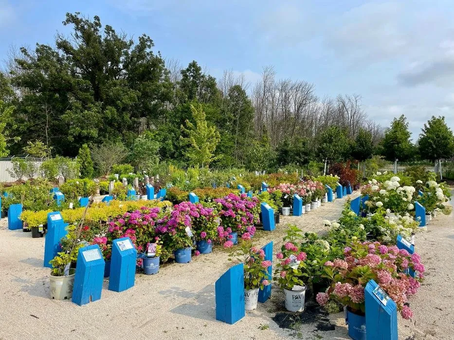 Custom residential landscaping in Sheboygan, WI - Scotty Landscape Supply