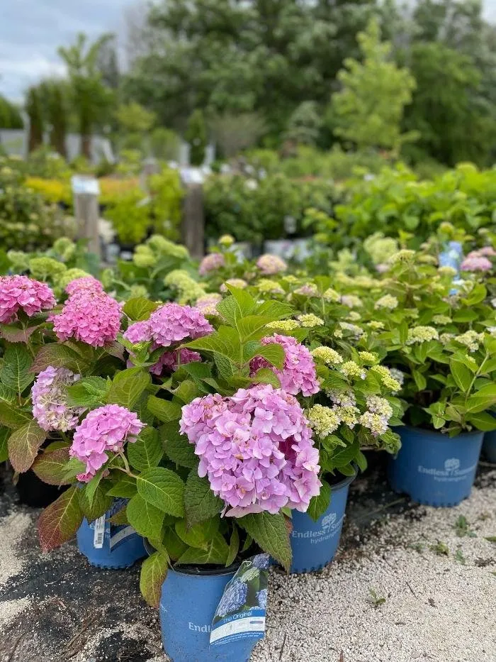 Custom landscape installation in Sheboygan, WI - Scotty Landscape Supply