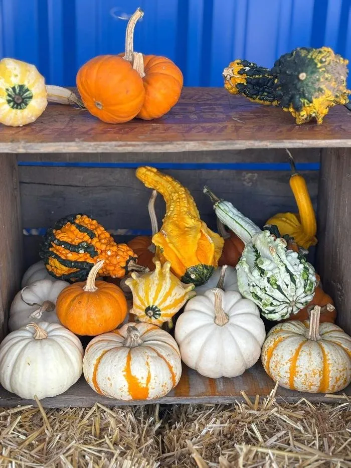 Trusted lawn mowing service in Sheboygan, WI - Scotty Landscape Supply