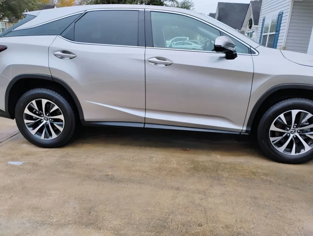 Custom yard maintenance for beautiful yards in Brunswick, GA by Scotty Quick Services & Mobile