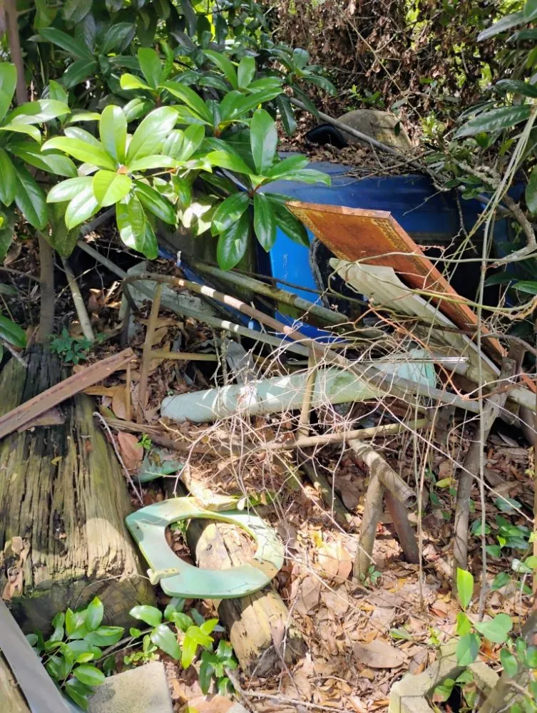 Expert yard maintenance for residential properties in Brunswick, GA by Scotty Quick Services & Mobile