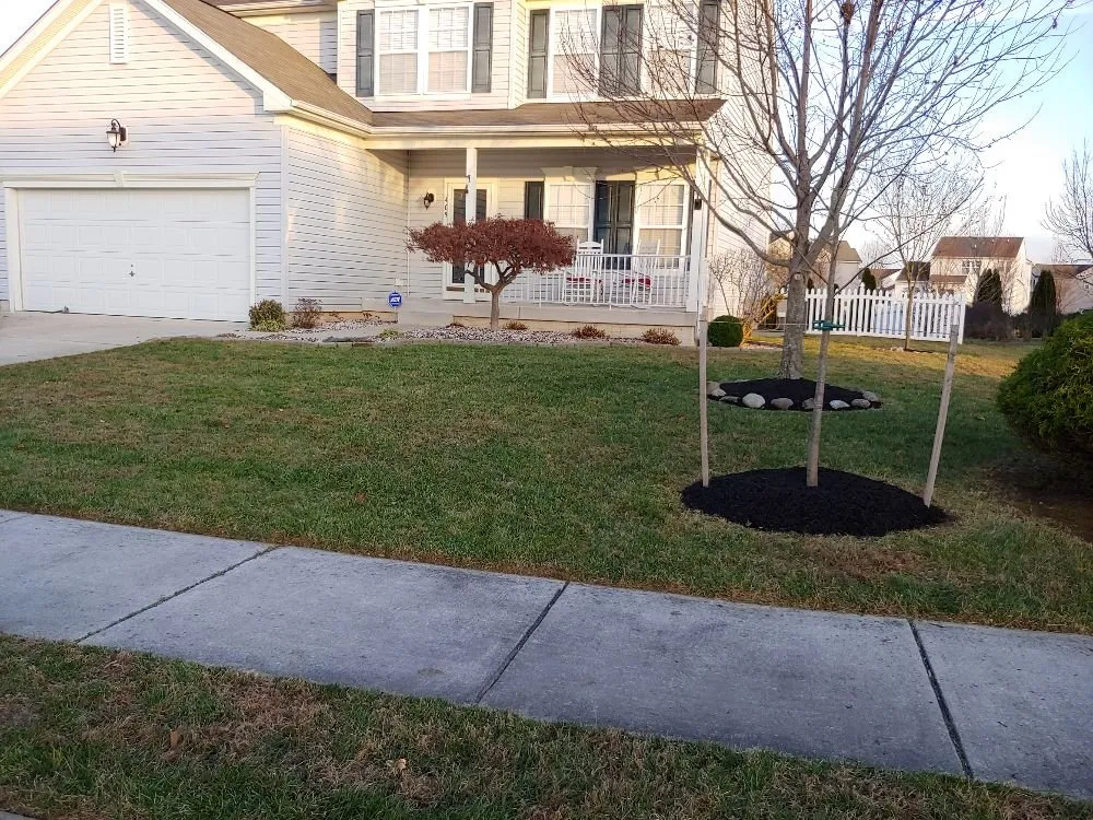 Custom yard cleanup service for residential properties across Dover, DE - Scotty's Lawn Care Service