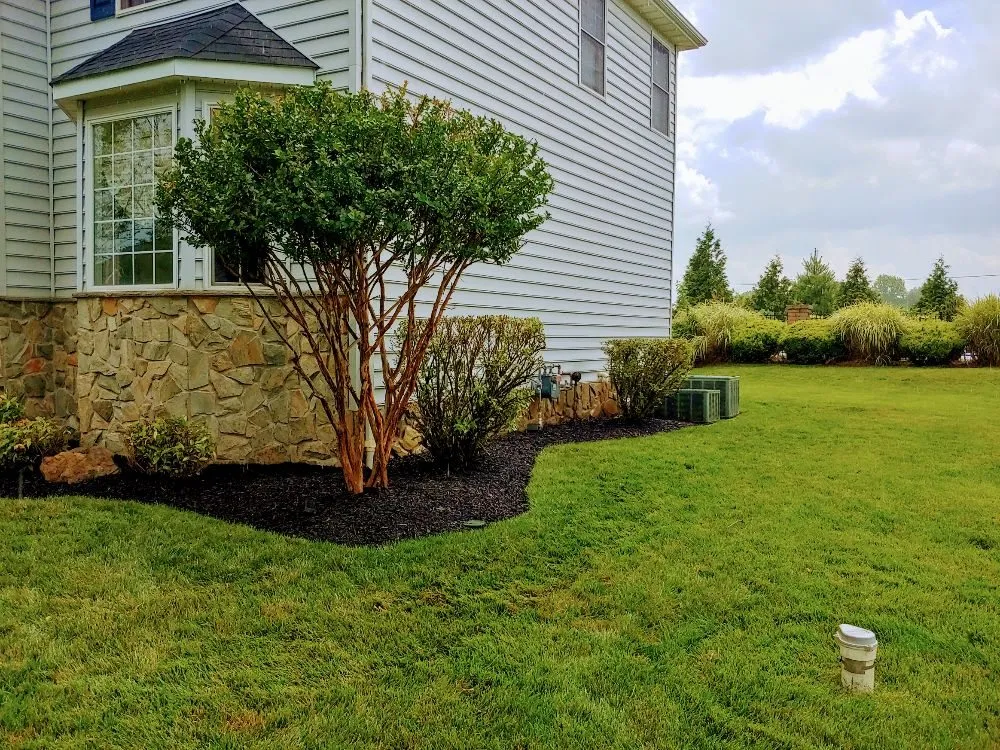 Trusted yard maintenance for homes in Dover, DE by Scotty's Lawn Care Service