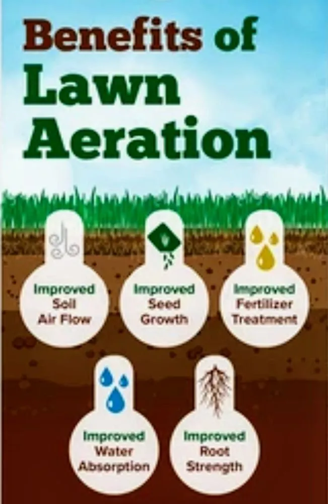 Custom yard maintenance for outdoor upgrades in Dover, DE by Scotty's Lawn Care Service