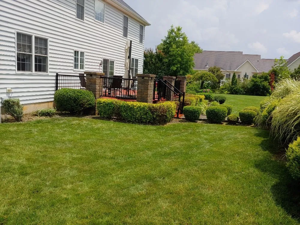 Trusted yard maintenance for homes in Dover, DE by Scotty's Lawn Care Service