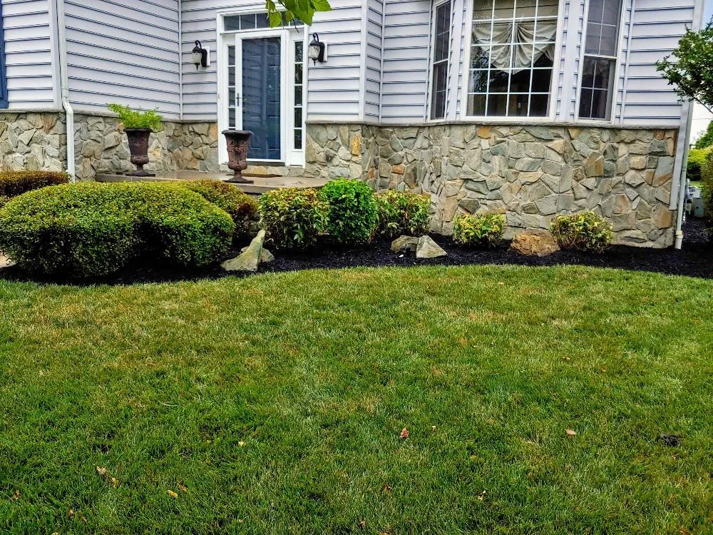 Custom yard cleanup service experts serving Dover, DE - Scotty's Lawn Care Service