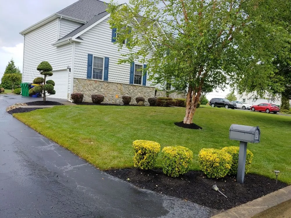 Local outdoor landscaping near you in Dover, DE by Scotty's Lawn Care Service