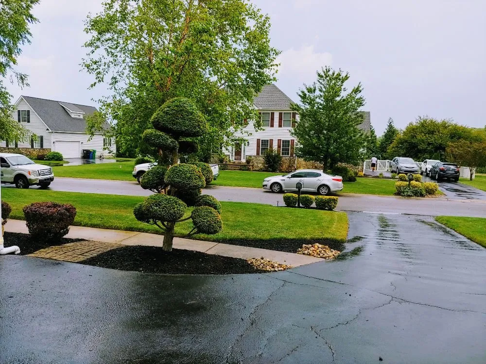 Trusted lawn care service experts serving Dover, DE - Scotty's Lawn Care Service