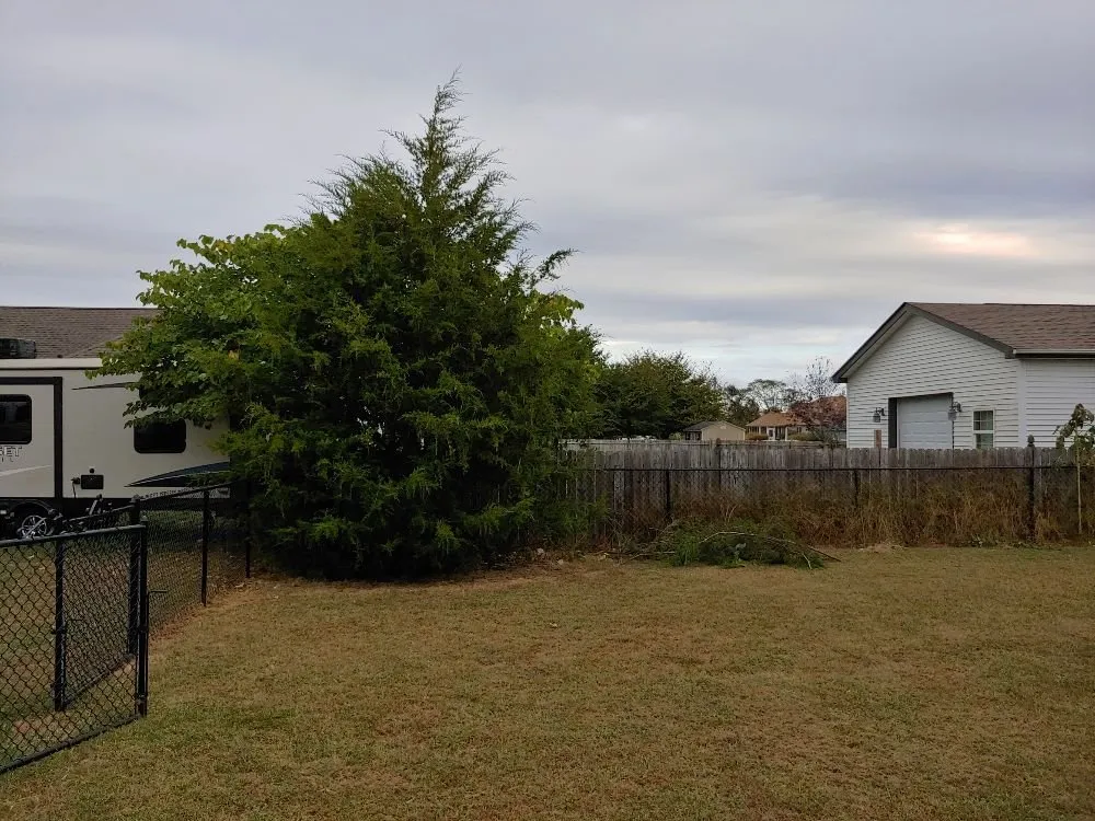 Top-rated lawn mowing service near you in Dover, DE by Scotty's Lawn Care Service