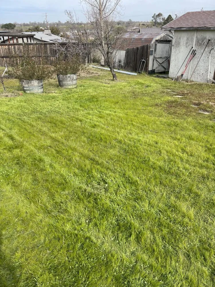 Custom garden landscaping experts serving Ione, CA - Scotty’s Lawncare