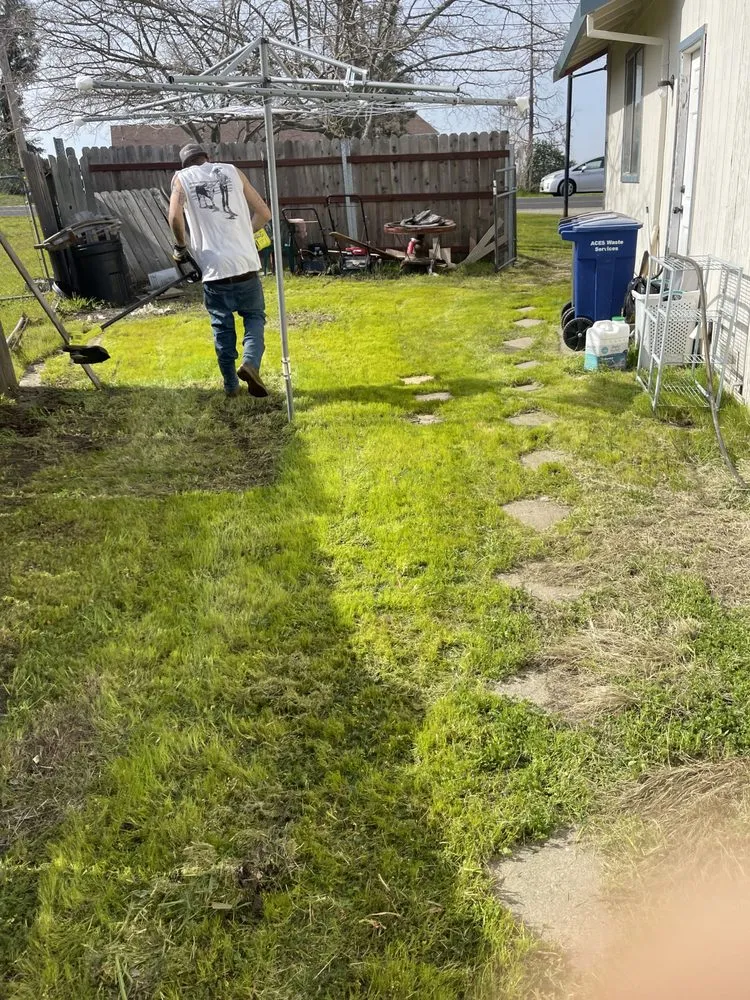 Top-rated landscaping services in Ione, CA by Scotty’s Lawncare