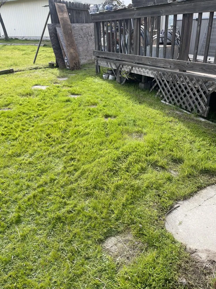 Top-rated garden landscaping for residential properties in Ione, CA by Scotty’s Lawncare