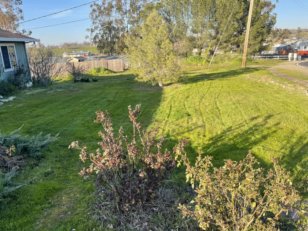 Local landscape installation in Ione, CA - Scotty’s Lawncare