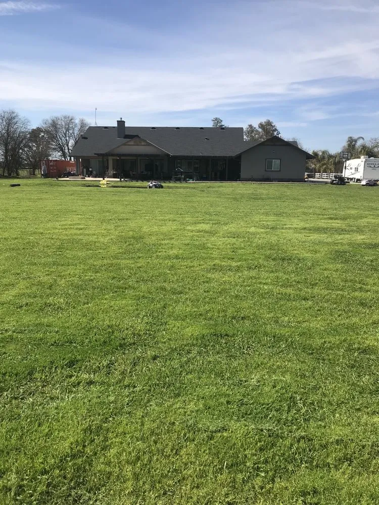 Trusted yard maintenance for beautiful yards across Ione, CA - Scotty’s Lawncare