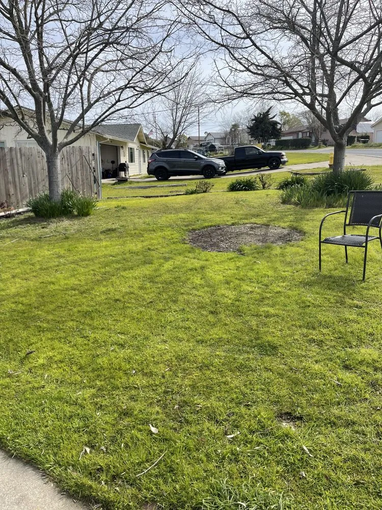 Reliable lawn mowing service in Ione, CA - Scotty’s Lawncare