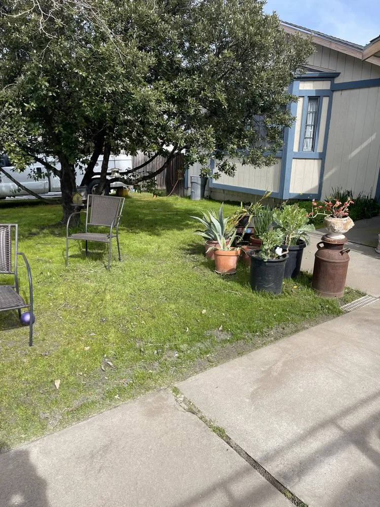 Local yard cleanup service in Ione, CA by Scotty’s Lawncare