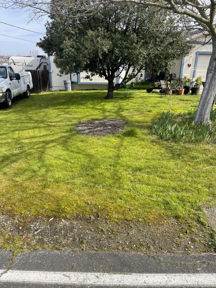 Trusted lawn mowing service for outdoor upgrades across Ione, CA - Scotty’s Lawncare