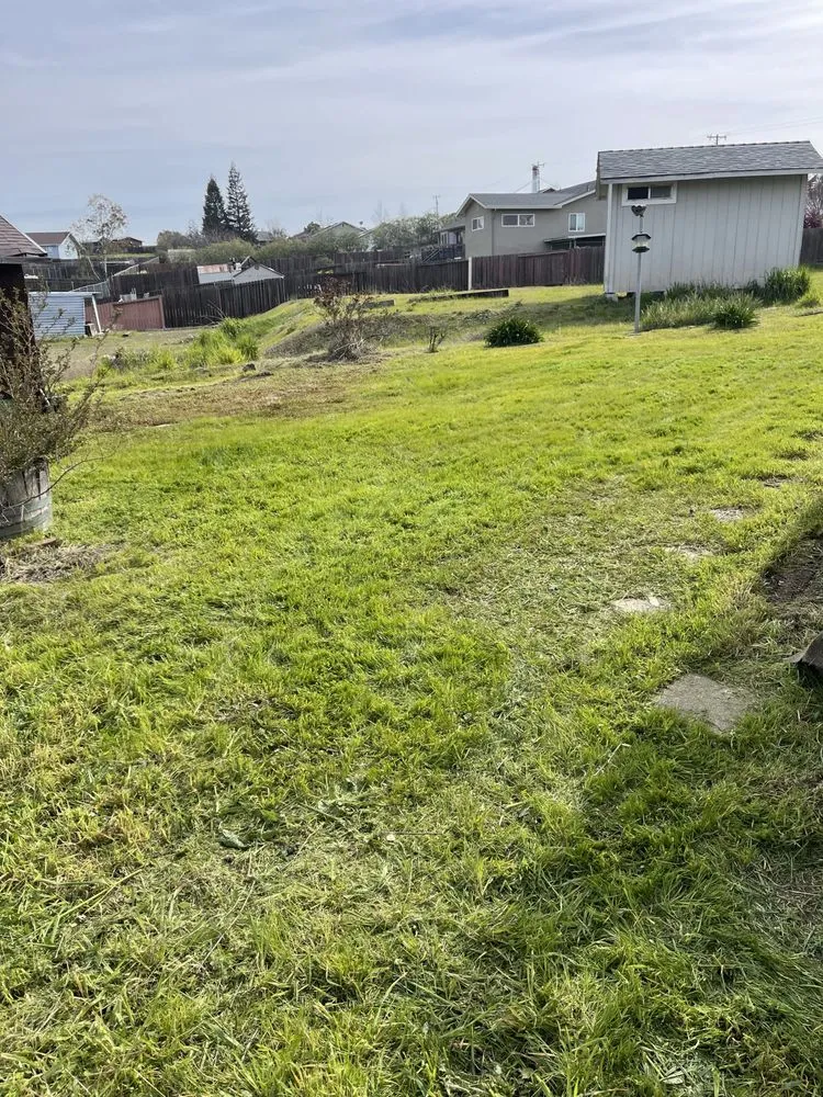 Professional lawn mowing service experts serving Ione, CA - Scotty’s Lawncare