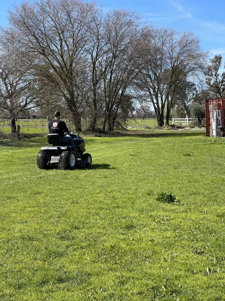 Affordable lawn mowing service in Ione, CA by Scotty’s Lawncare