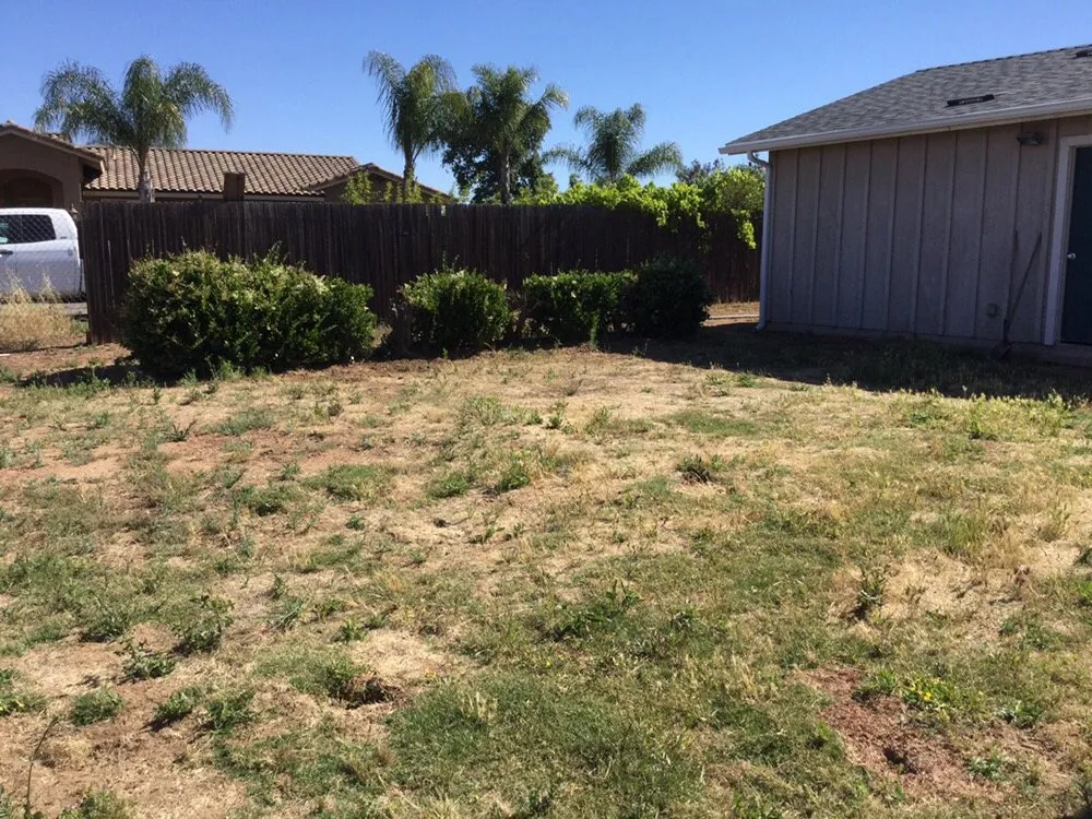 Custom yard cleanup service for year-round maintenance across Ramona, CA - Scotty's Plantscapes